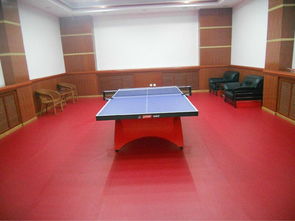 羽毛球專業運動地板 羽毛球專業地板 羽毛球地板