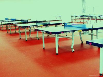 荷澤醫(yī)院塑膠地板,幼兒園塑膠地板,羽毛球地板,乒乓球地板_庫存體育運動產(chǎn)品