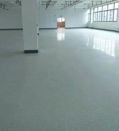 思明區(qū)塑膠地板要多少錢(qián)